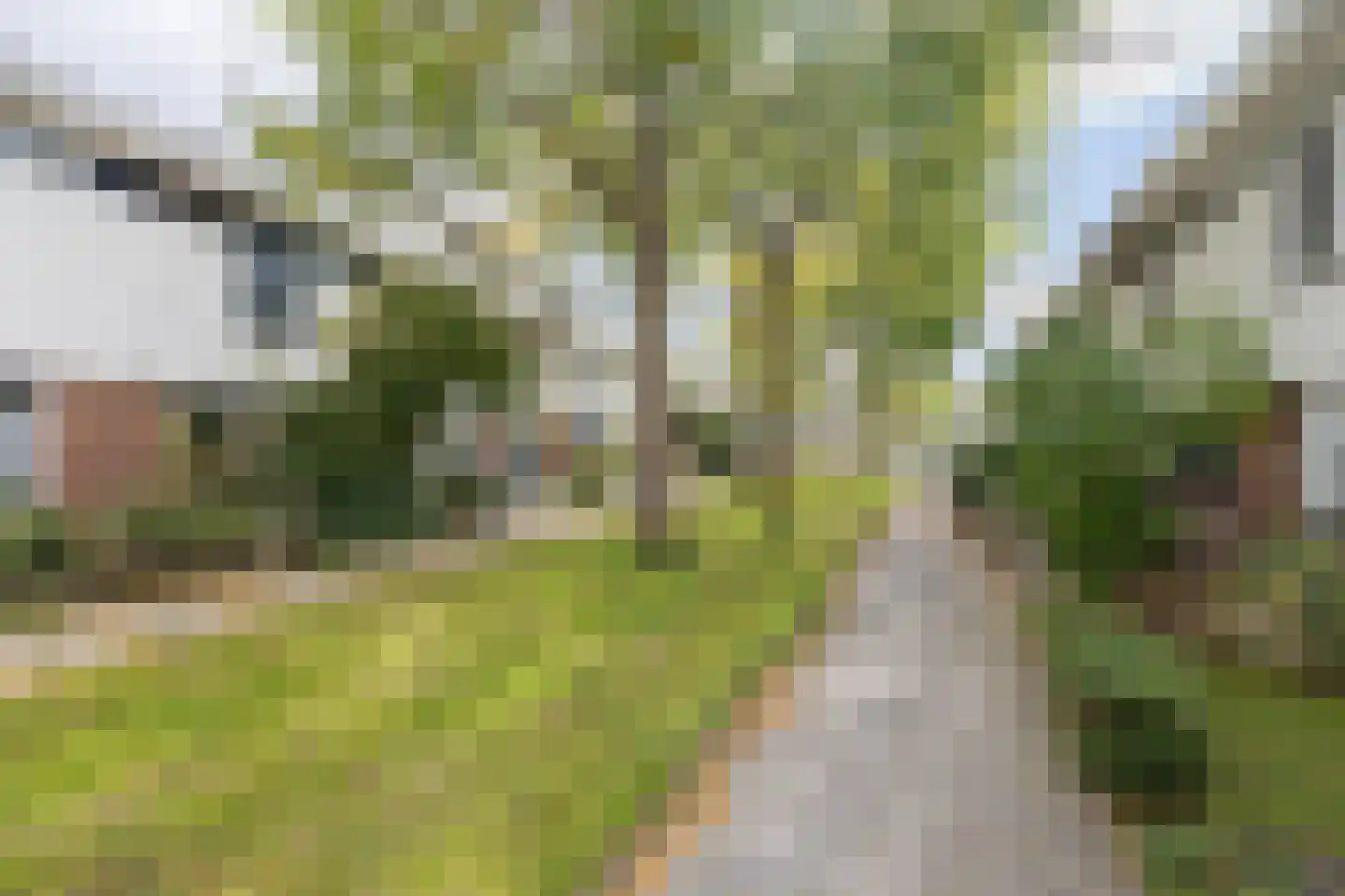 Barnsteenslak 21 Amersfoort thumbnail 40