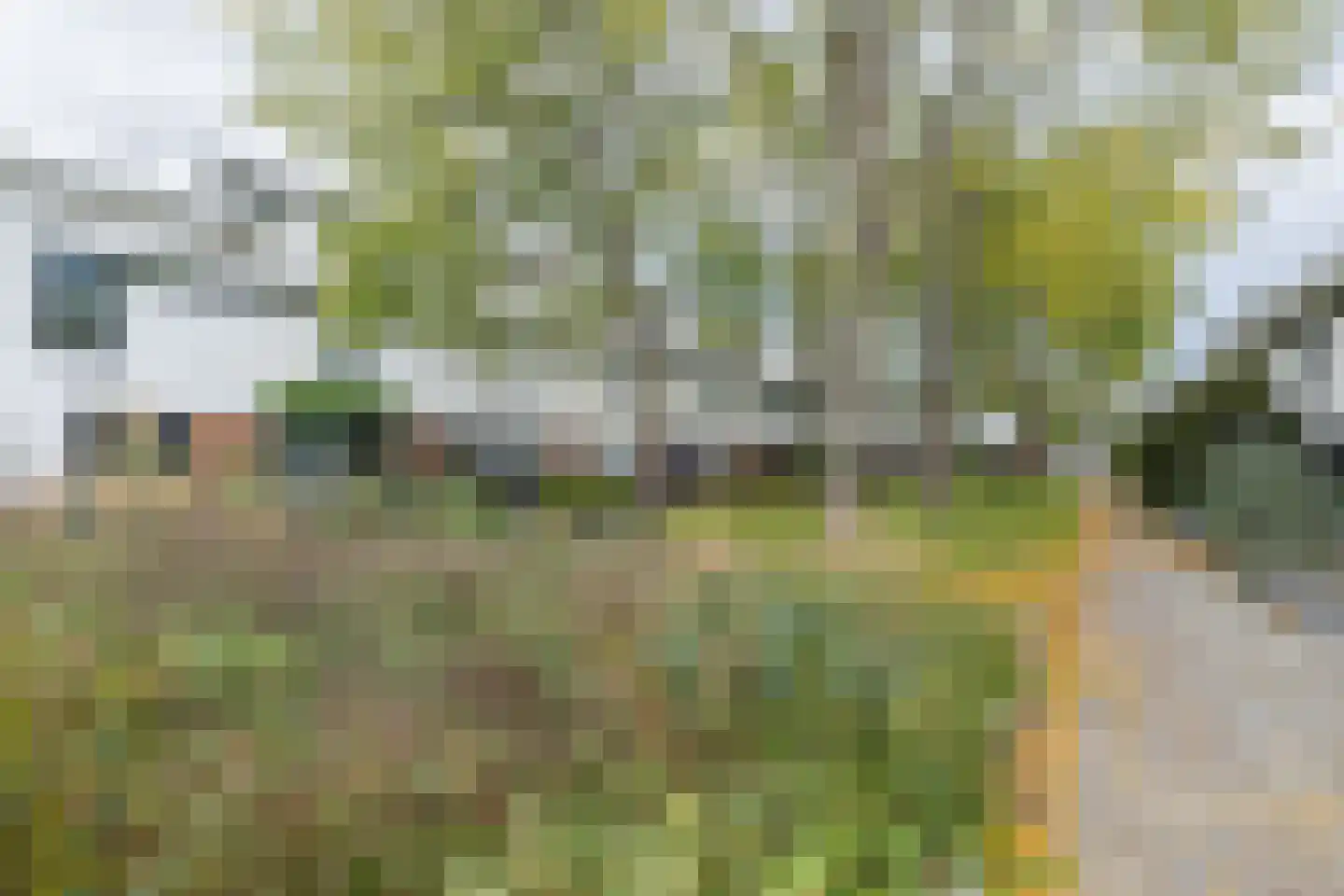 Barnsteenslak 21 Amersfoort thumbnail 41
