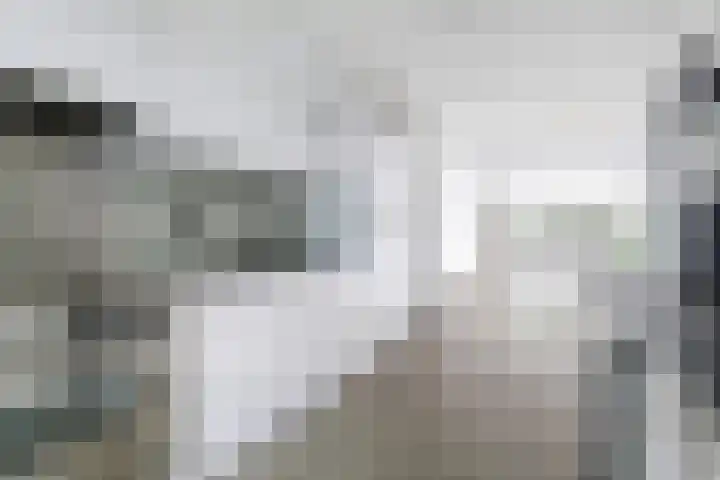 Barnsteenslak 5 Amersfoort thumbnail 11