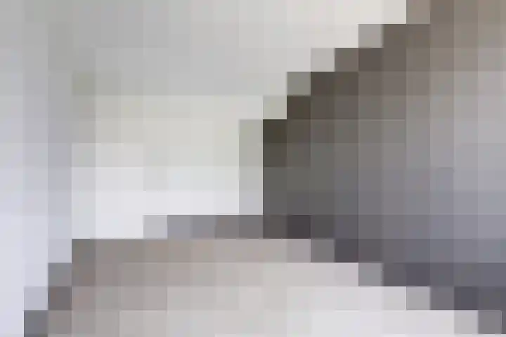 Barnsteenslak 5 Amersfoort thumbnail 21