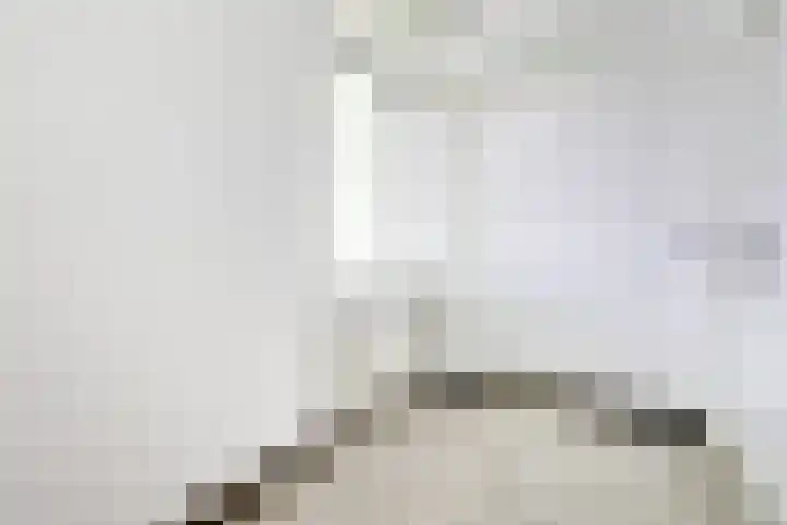 Barnsteenslak 5 Amersfoort thumbnail 26