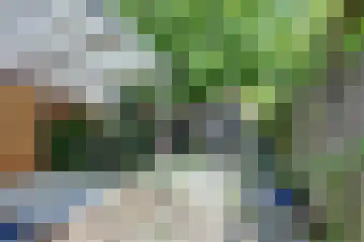Barnsteenslak 5 Amersfoort thumbnail 28