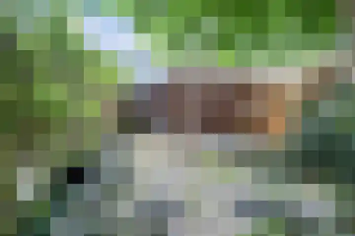 Barnsteenslak 5 Amersfoort thumbnail 29