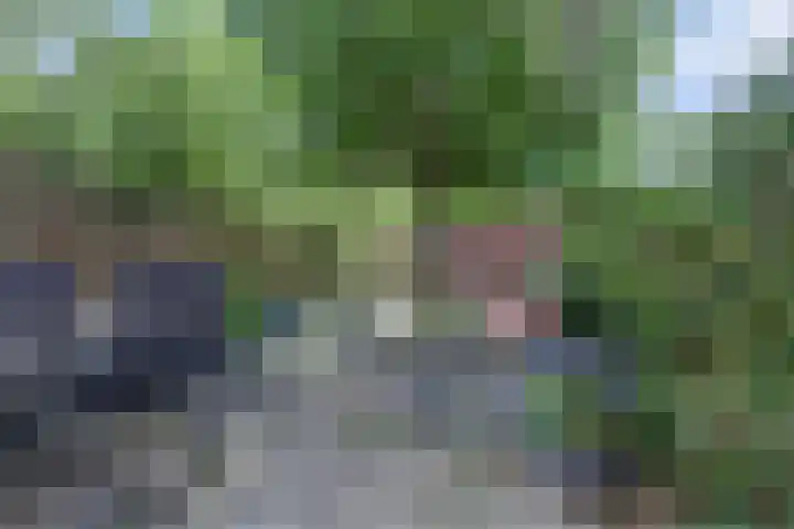 Barnsteenslak 5 Amersfoort thumbnail 30