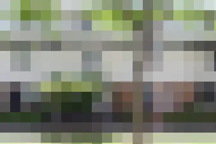 Barnsteenslak 5 Amersfoort thumbnail 32