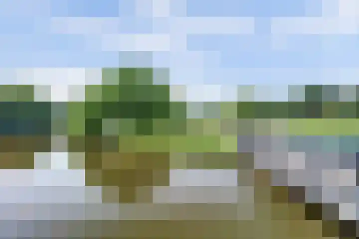 Barnsteenslak 5 Amersfoort thumbnail 34
