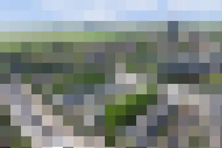 Barnsteenslak 5 Amersfoort thumbnail 35