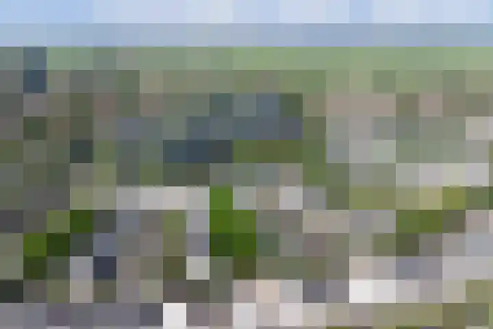 Barnsteenslak 5 Amersfoort thumbnail 36