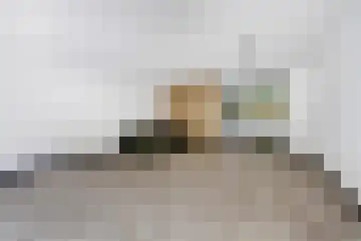 Barnsteenslak 5 Amersfoort thumbnail 7