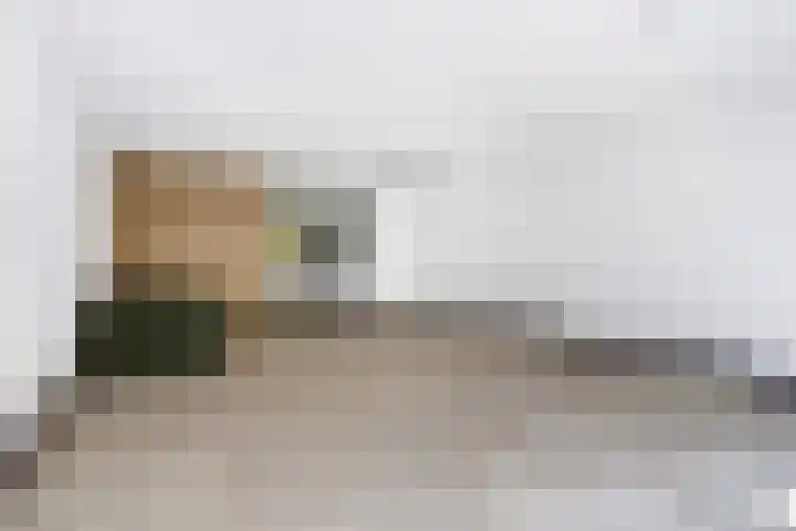 Barnsteenslak 5 Amersfoort thumbnail 8