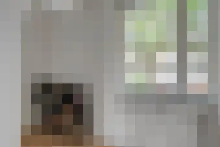 Barnsteenslak 8 Amersfoort thumbnail 11