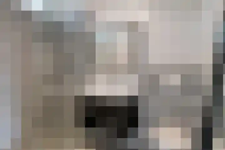 Barnsteenslak 8 Amersfoort thumbnail 12