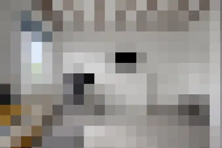 Barnsteenslak 8 Amersfoort thumbnail 16