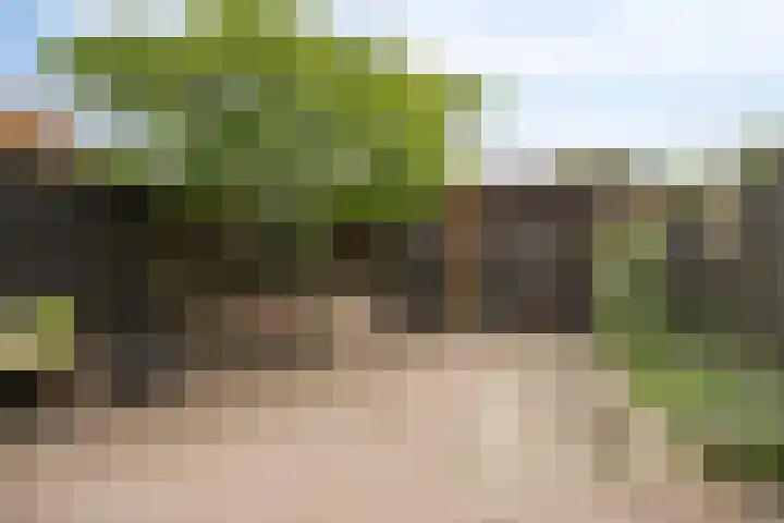 Barnsteenslak 8 Amersfoort thumbnail 17