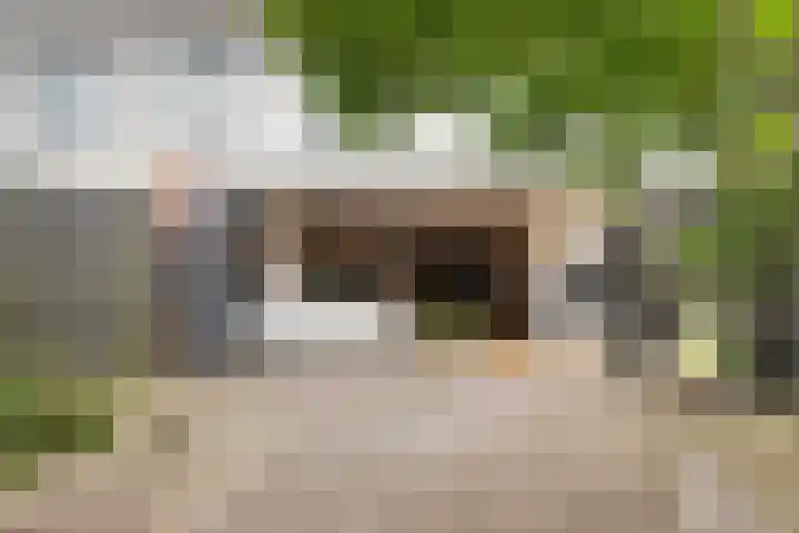 Barnsteenslak 8 Amersfoort thumbnail 18