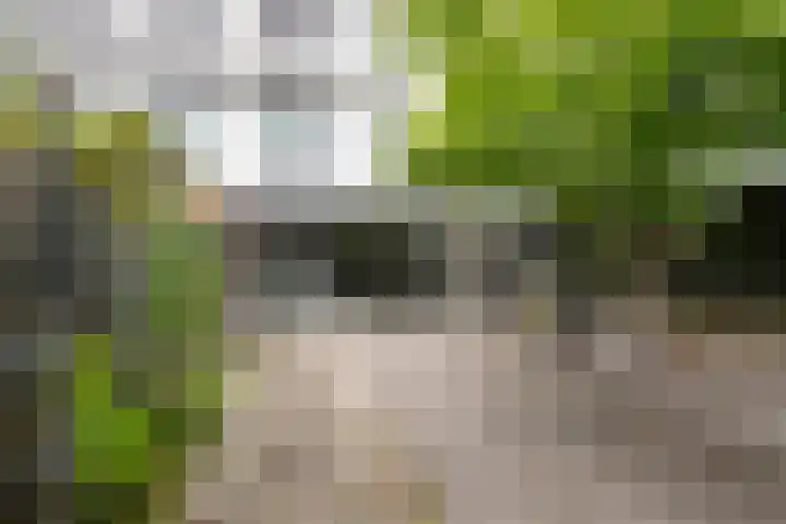 Barnsteenslak 8 Amersfoort thumbnail 19