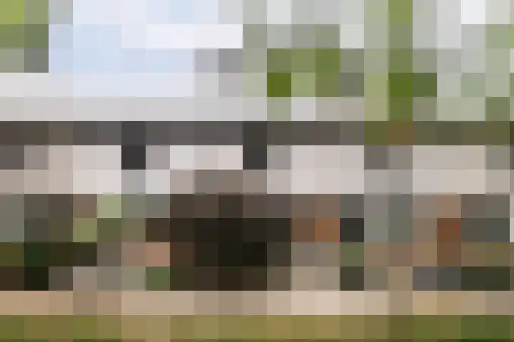 Barnsteenslak 8 Amersfoort thumbnail 24