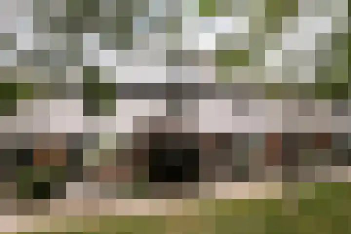 Barnsteenslak 8 Amersfoort thumbnail 27
