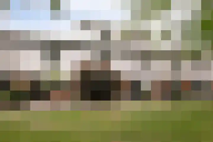 Barnsteenslak 8 Amersfoort thumbnail 28