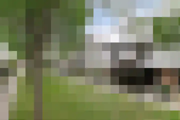 Barnsteenslak 8 Amersfoort thumbnail 29