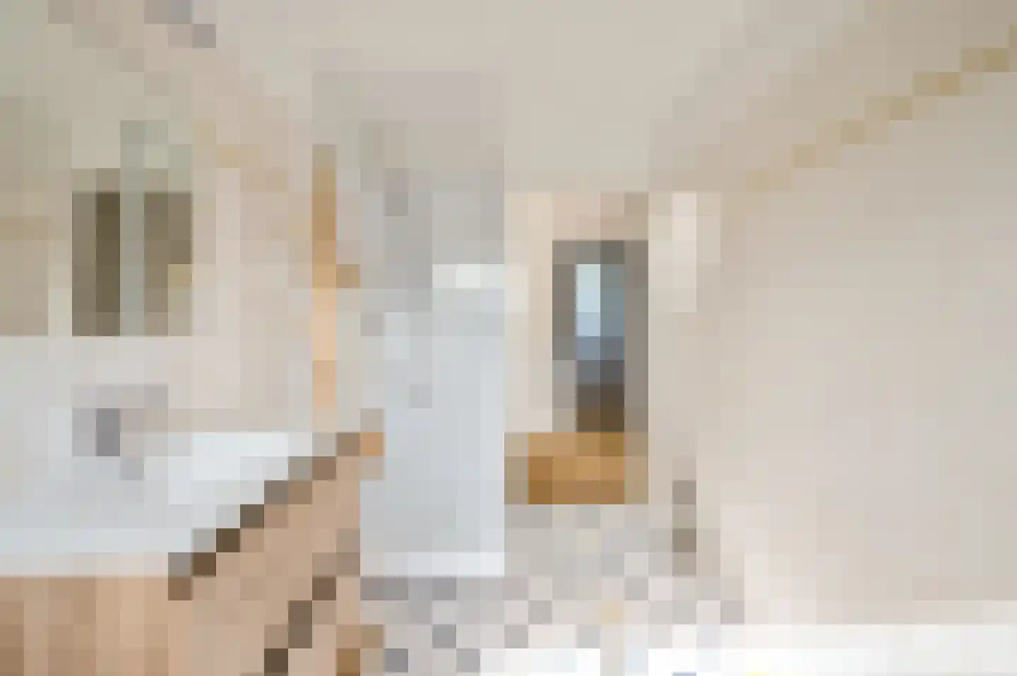 Barnsteenstraat 11 Almere thumbnail 5