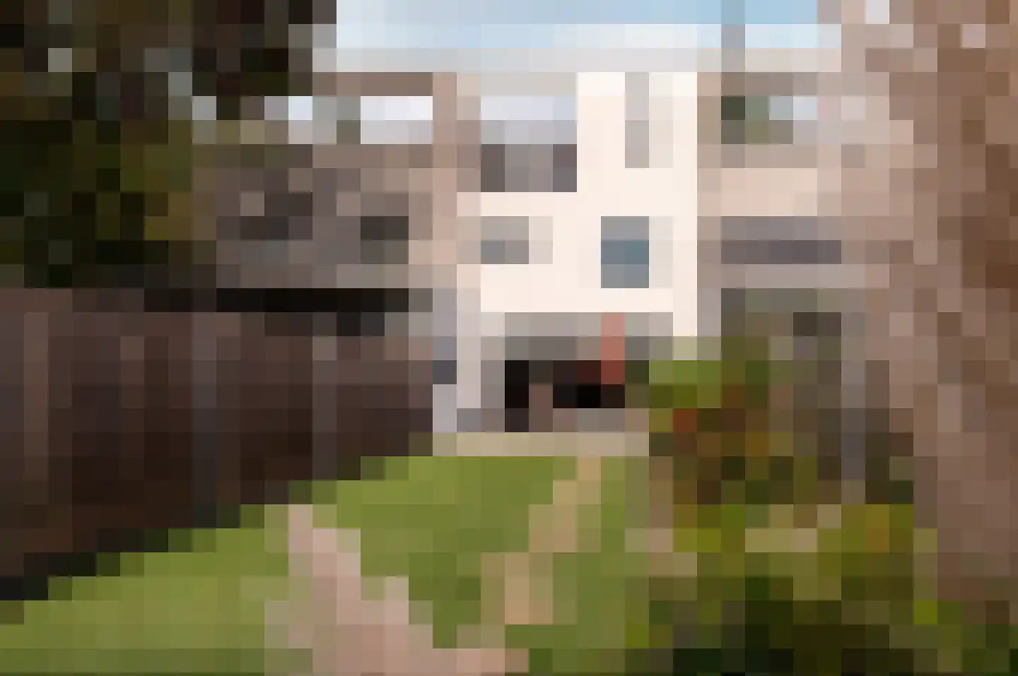 Barnsteenstraat 11 Almere thumbnail 6