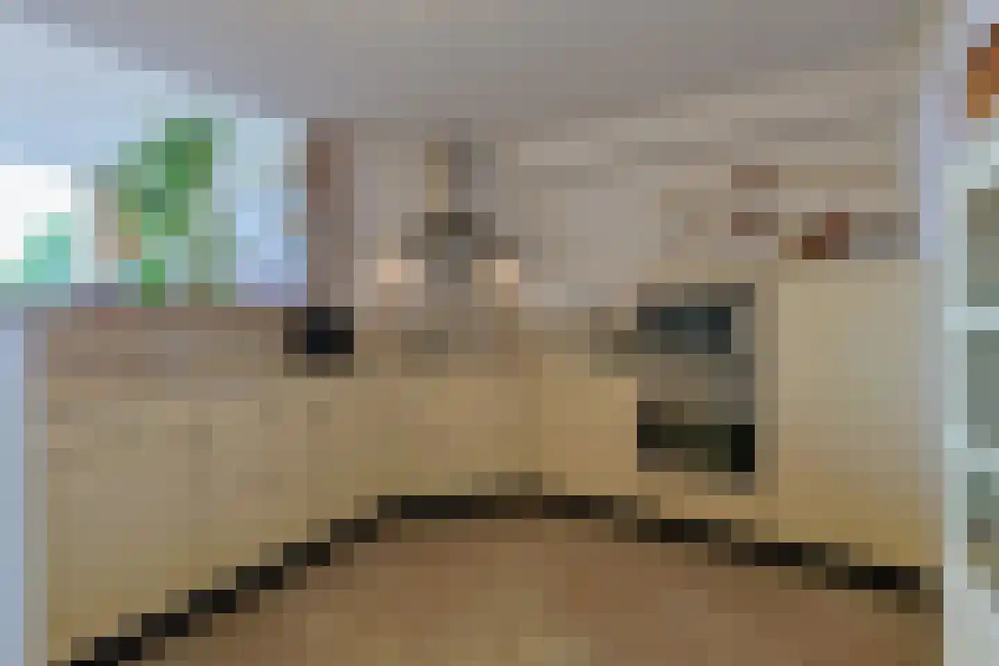 Barnsteenstraat 31 Alphen aan den Rijn thumbnail 10