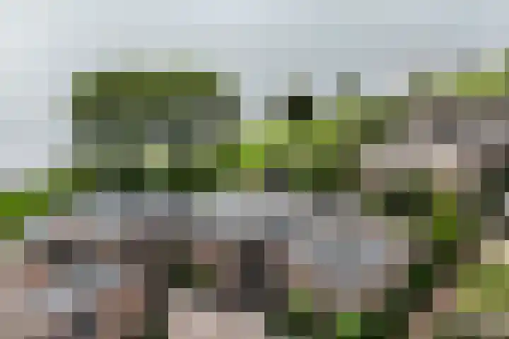 Barnsteenstraat 45 in Alphen aan den Rijn