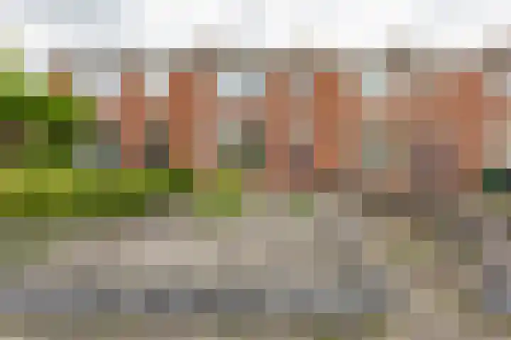 Barnsteenstraat 45 Groningen thumbnail 36