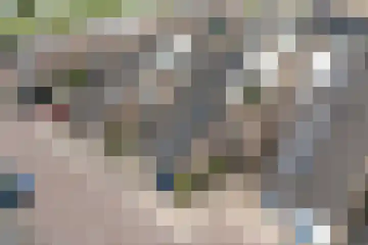 Barnsteenstraat 82 in Alphen aan den Rijn