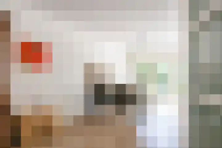 Baroklaan 36 Leek thumbnail 12