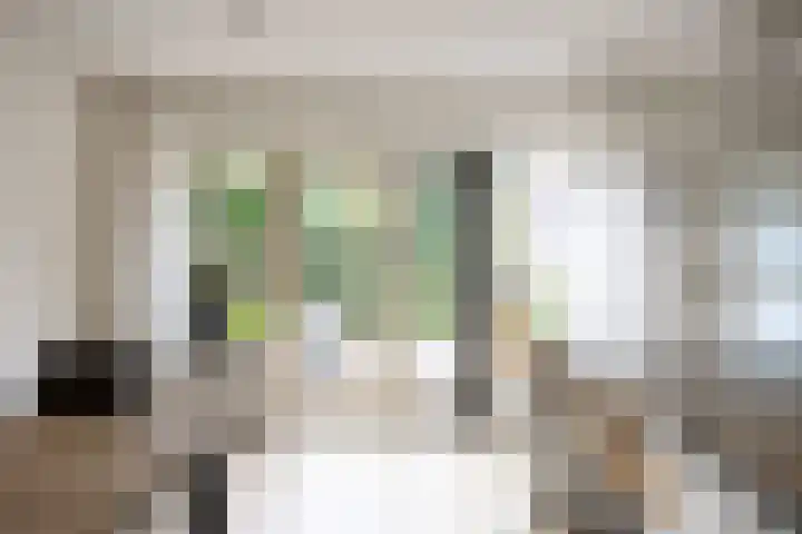 Baroklaan 36 Leek thumbnail 14