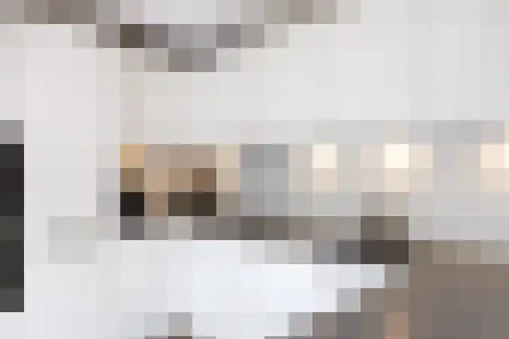 Baroklaan 36 Leek thumbnail 15