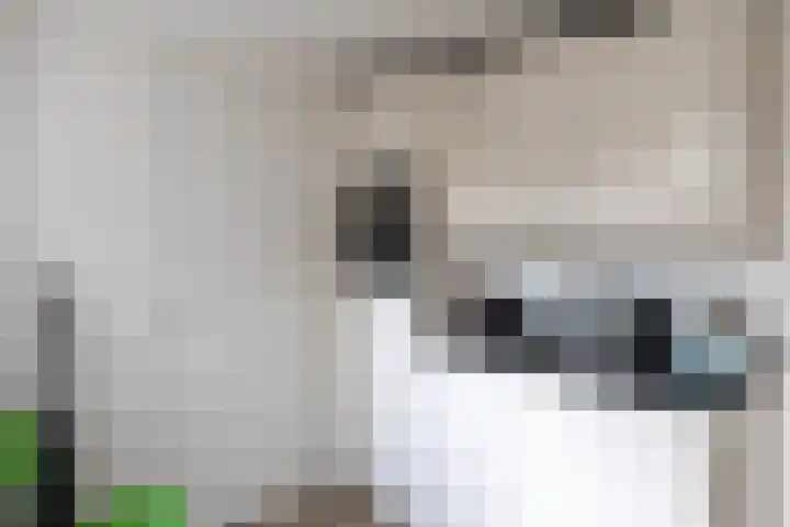 Baroklaan 36 Leek thumbnail 18