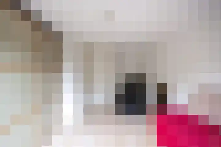 Baroklaan 36 Leek thumbnail 22
