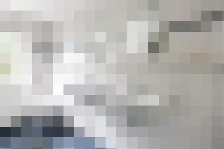 Baroklaan 36 Leek thumbnail 28
