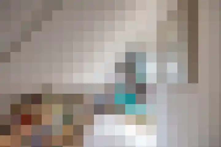 Baroklaan 36 Leek thumbnail 32