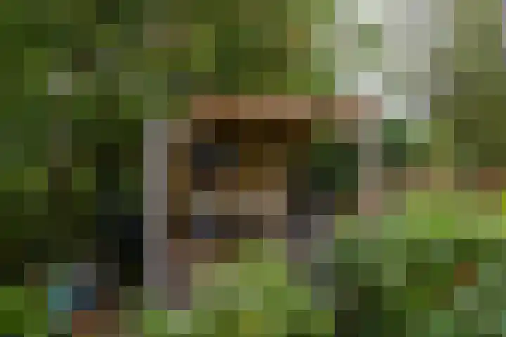 Baroklaan 36 Leek thumbnail 35