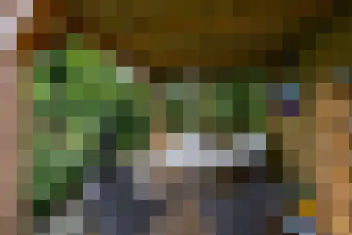 Baroklaan 36 Leek thumbnail 36