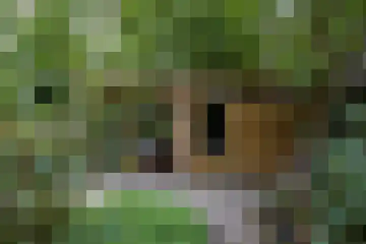 Baroklaan 36 Leek thumbnail 37