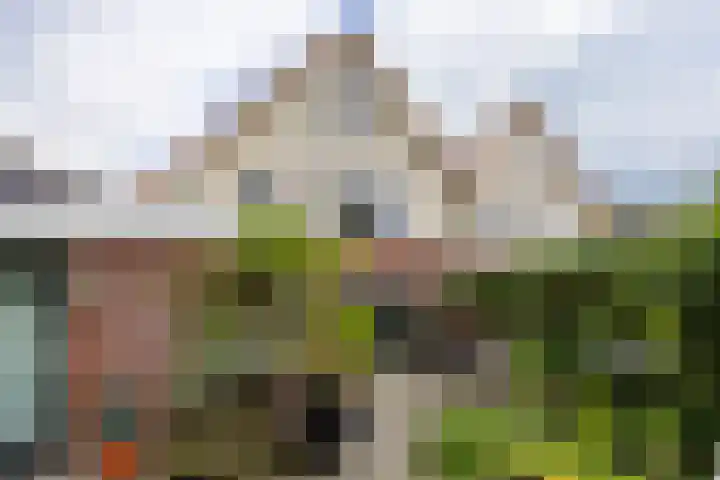 Baroklaan 36 Leek thumbnail 38