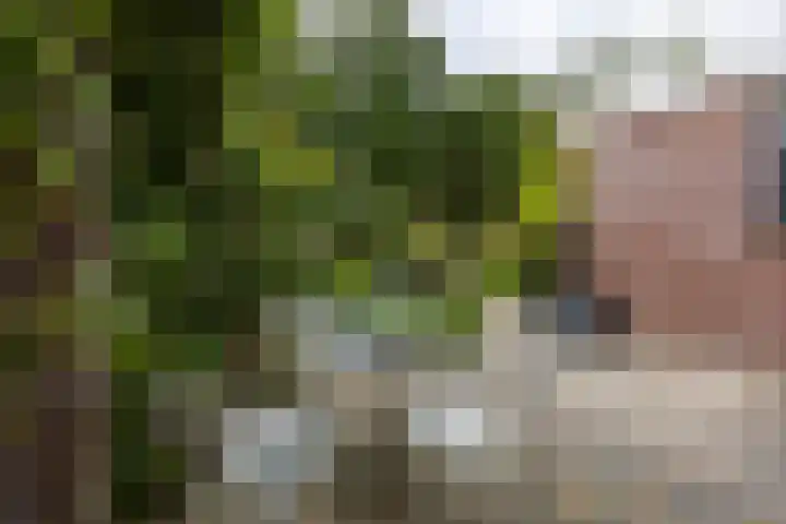 Baroklaan 36 Leek thumbnail 39