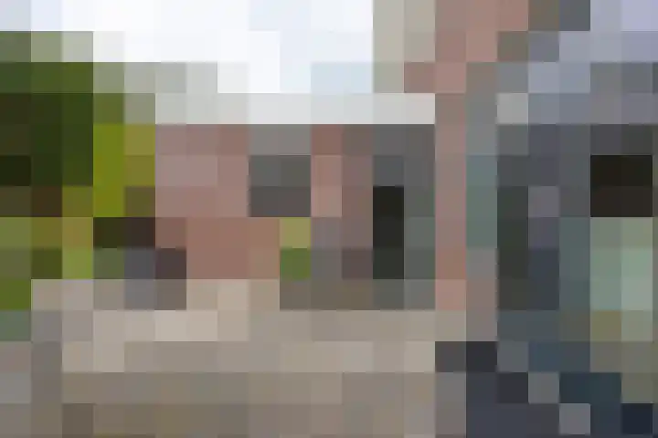 Baroklaan 36 Leek thumbnail 40