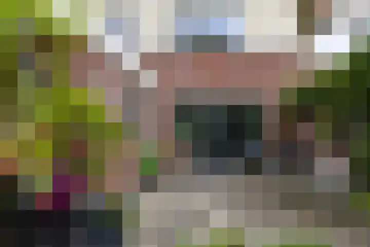 Baroklaan 36 Leek thumbnail 42