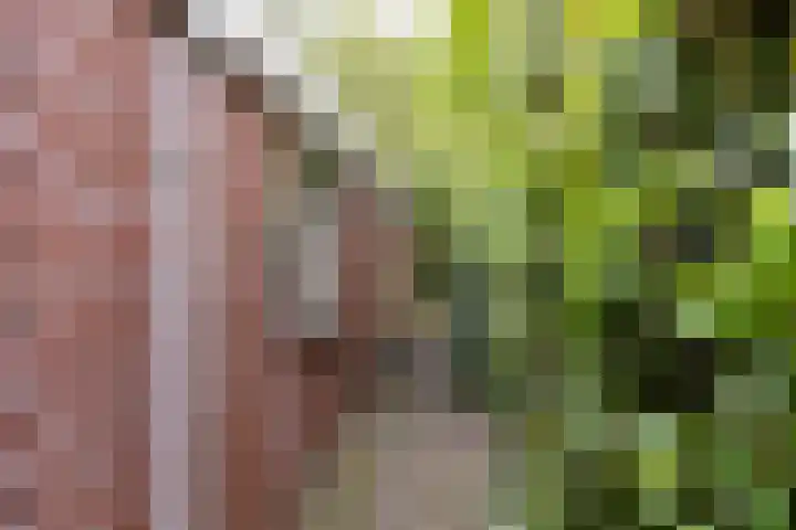 Baroklaan 36 Leek thumbnail 43