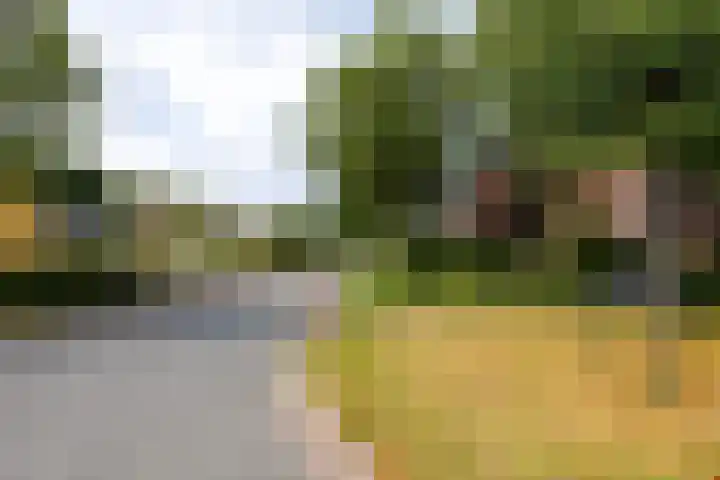 Baroklaan 36 Leek thumbnail 44