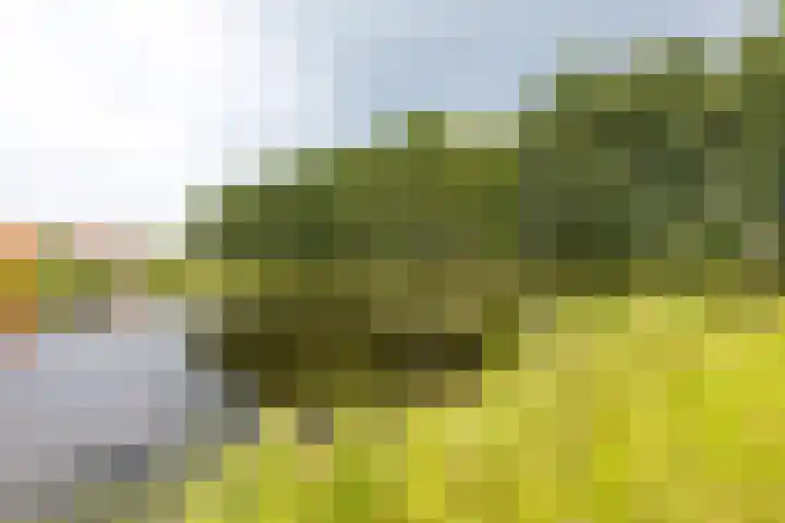 Baroklaan 36 Leek thumbnail 45