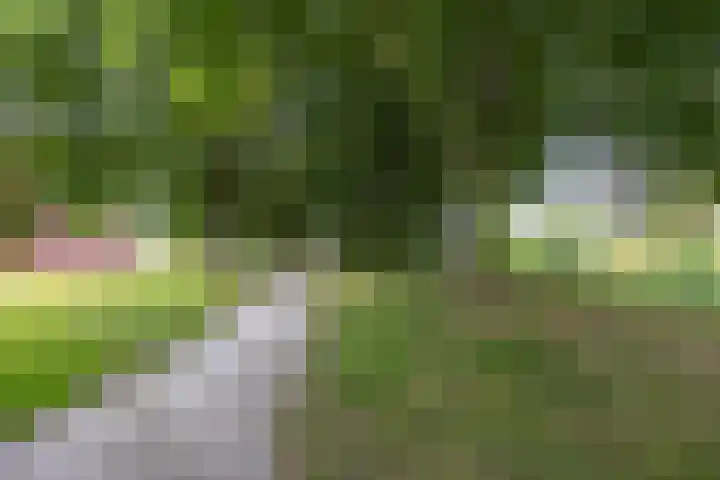 Baroklaan 36 Leek thumbnail 46