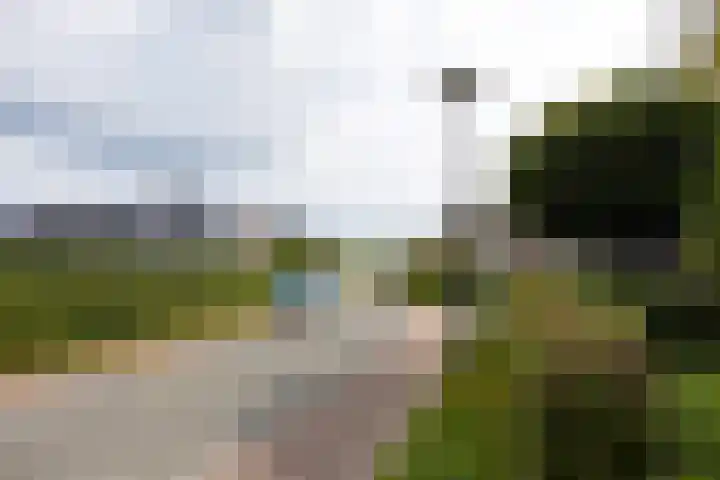 Baroklaan 36 Leek thumbnail 6