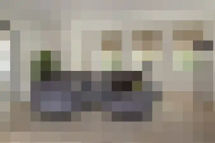 Baron 2 Heerenveen thumbnail 10